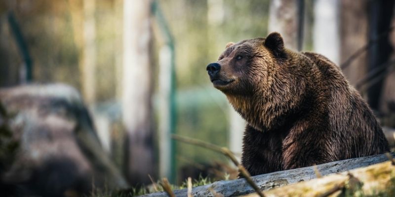The 5 Surprising Truths Zustand Taught Me About React State